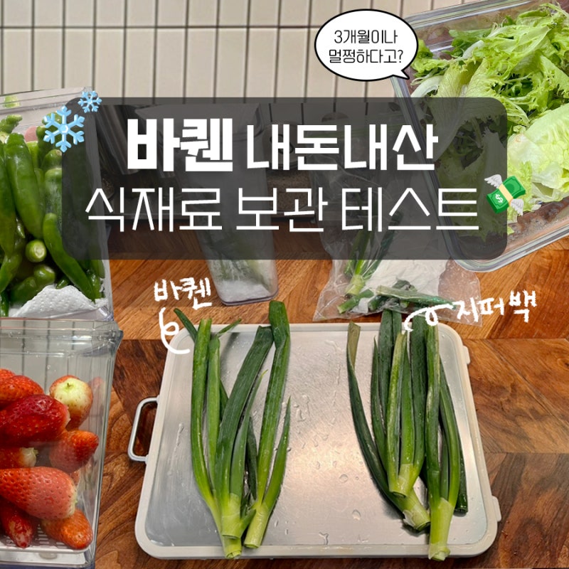 진공 밀폐용기 추천 바퀜 내돈내산 식재료 보관법 후기