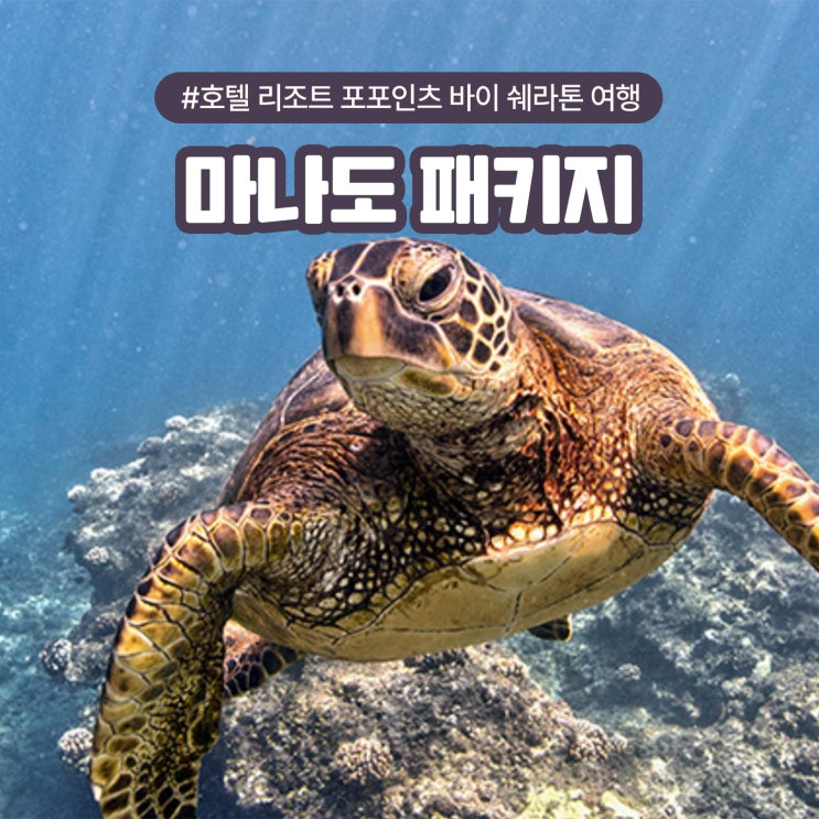  마나도 호텔 리조트 포포인츠 바이 쉐라톤 패키지 여행