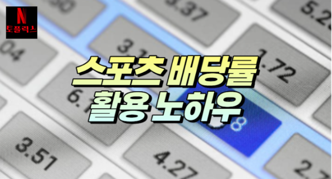  스포츠토토 배당률을 활용한 승률 계산 및 분석 노하우