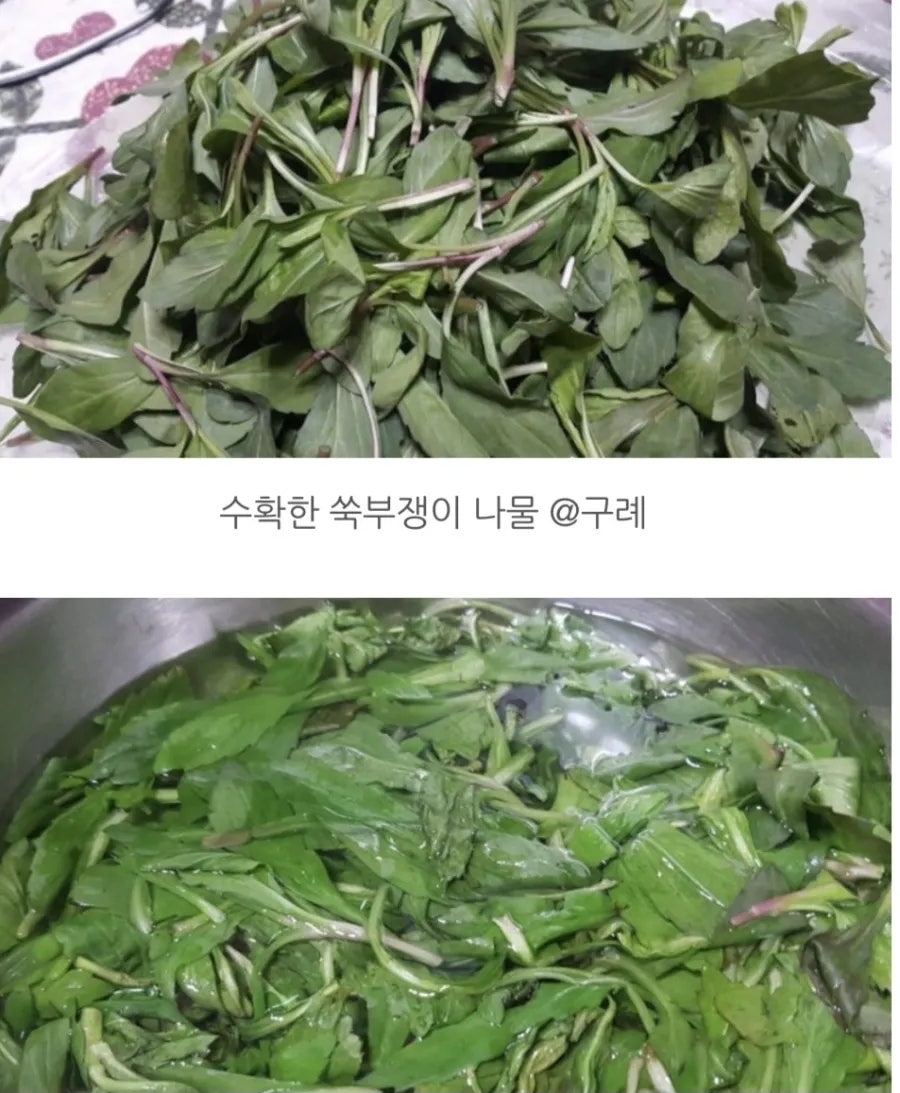 운주골 추어탕&가자미물회 사진 3
