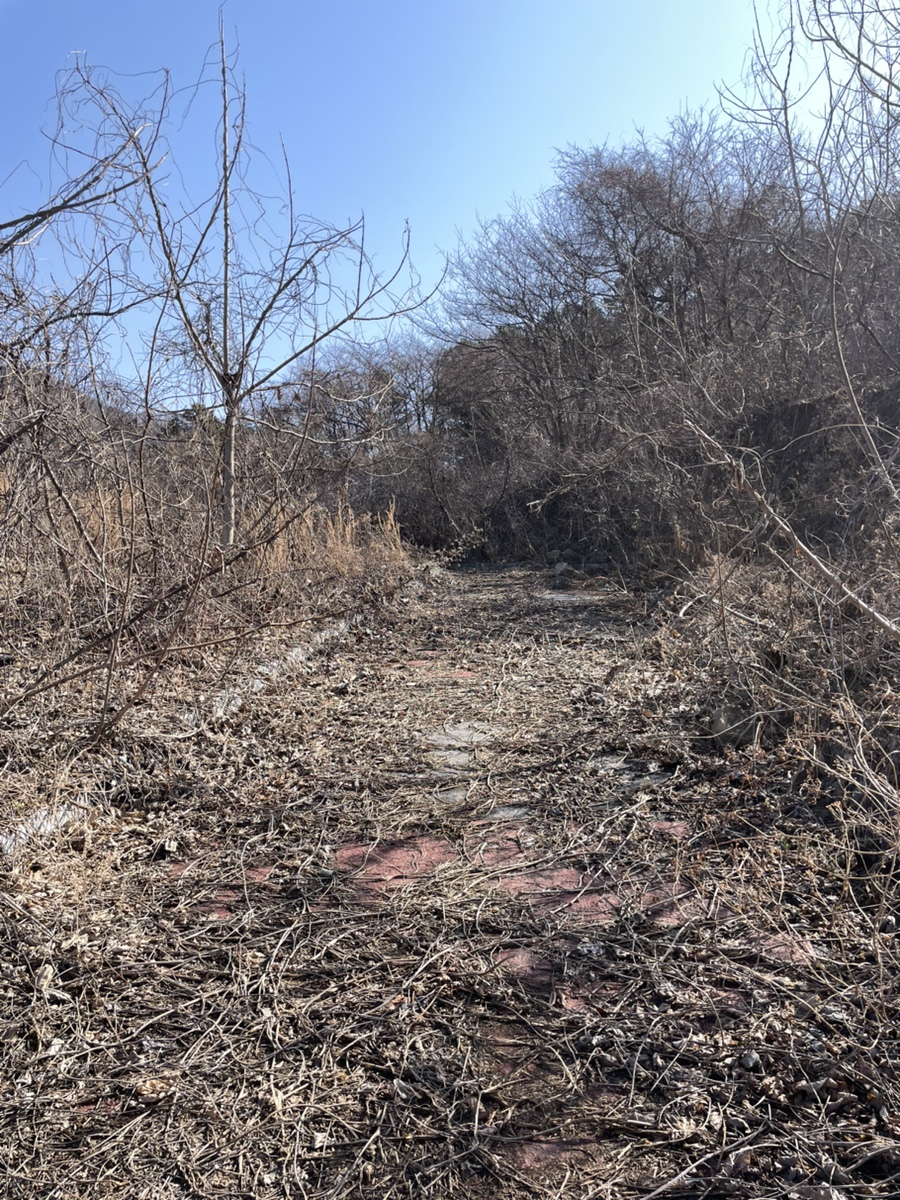 나래산 사진 4