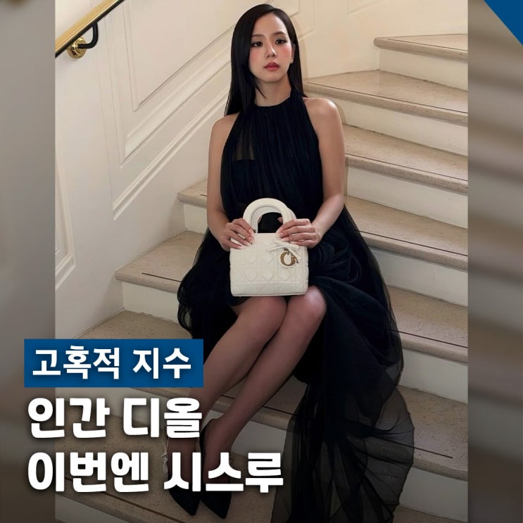  고혹적 지수 블랙 시스루 드레스, 디올 레이디백 가격