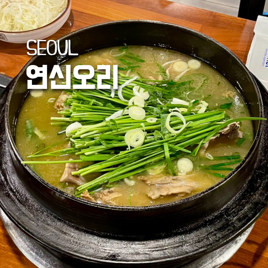 연신오리 사진 1