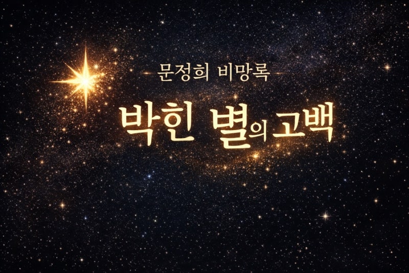 문정희 “비망록”, 박힌 별의 고백