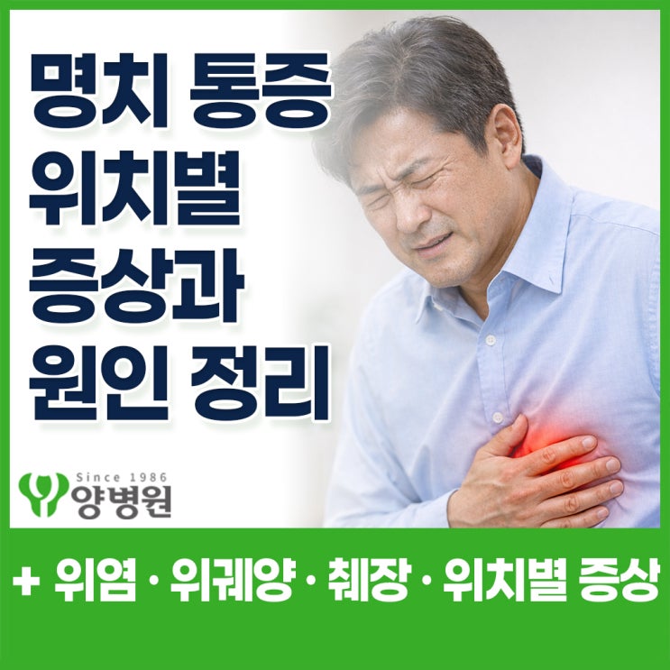 명치 통증 원인 – 위염·위궤양·췌장 질환까지 위치별 증상 정리