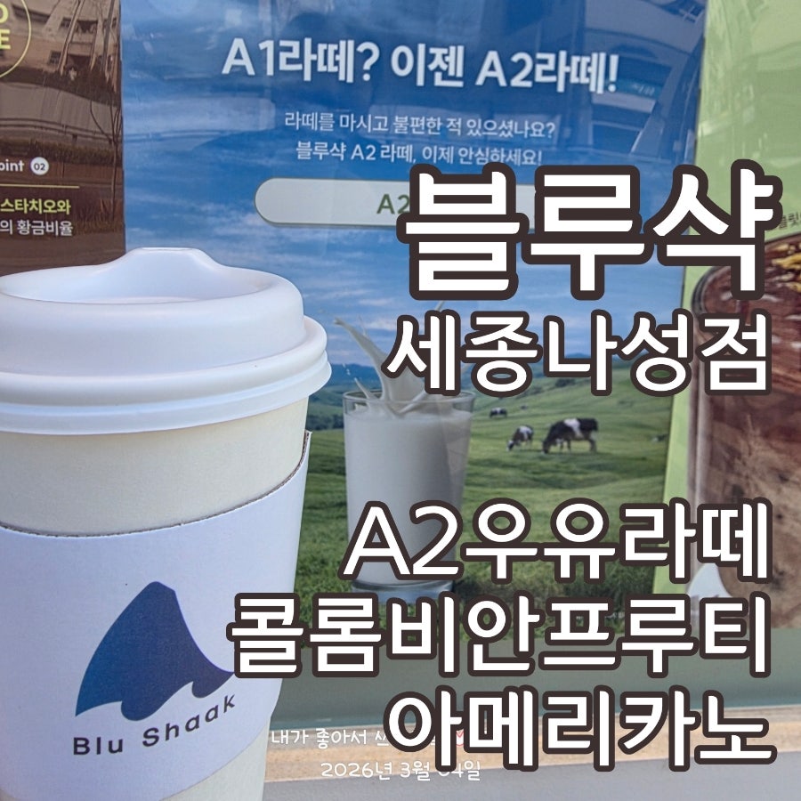 Beulrusyak Sejongnaseongjeom photo 1