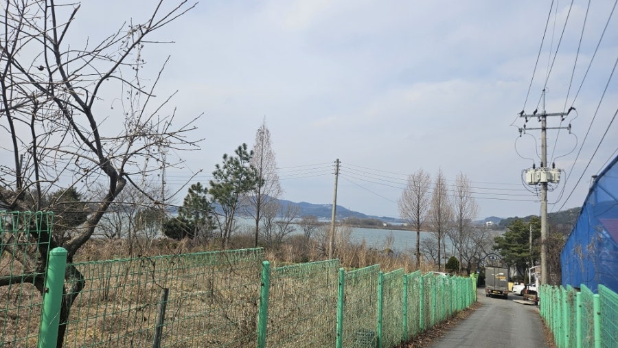 하늘보리 사진 1