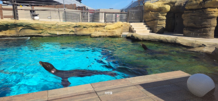  오사카 덴노지 동물원 아이와 가볼 만한 곳 입장료