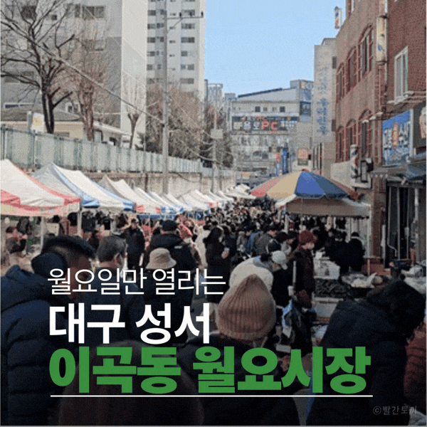  대구 성서 월요일만 열리는 이곡동 월요시장 후기
