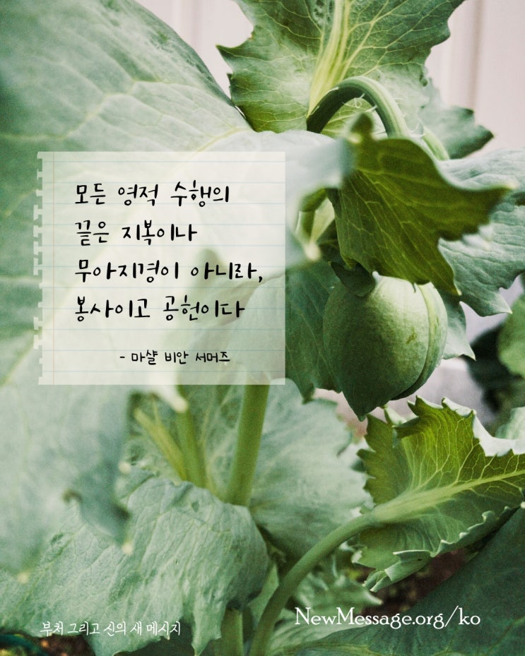  부처, 내적 성장과 마음을 정화하고 맑게 하는 데 중점을 두는 영적 수행을 개발해야 했다