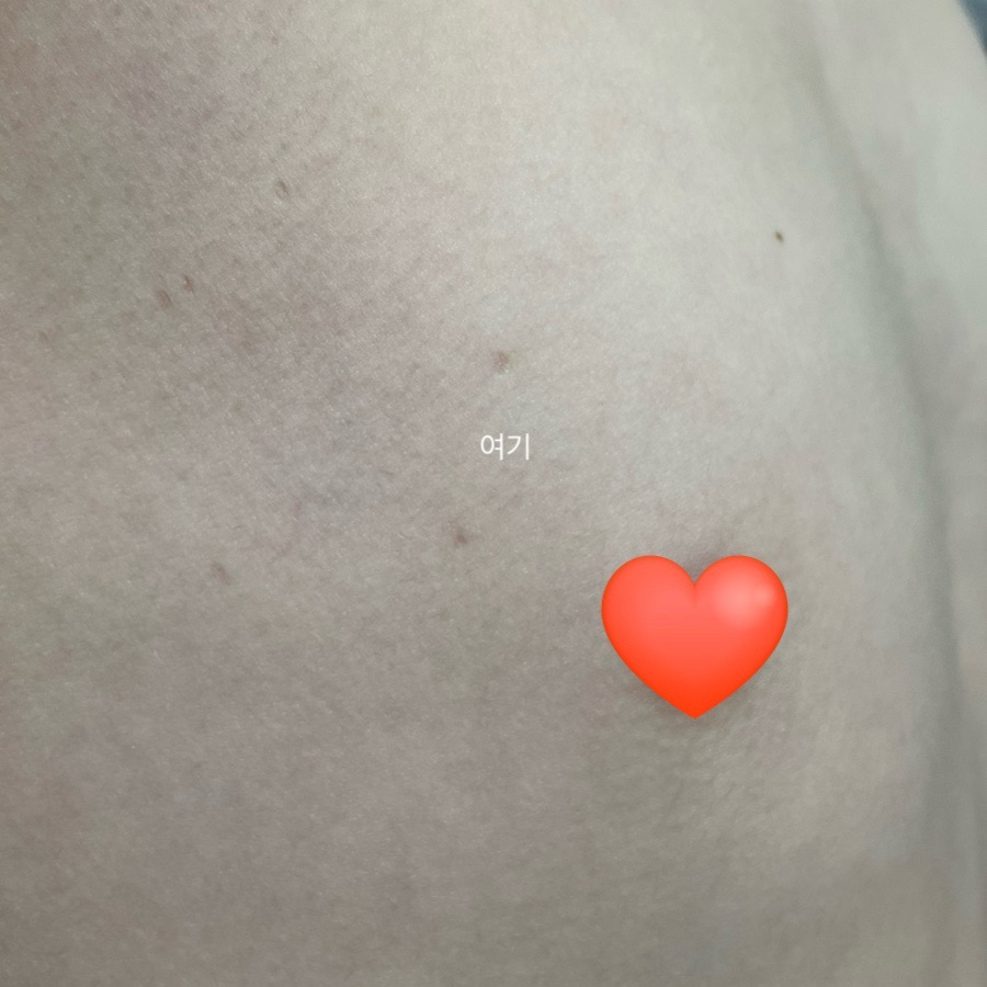 천리향 사진 3