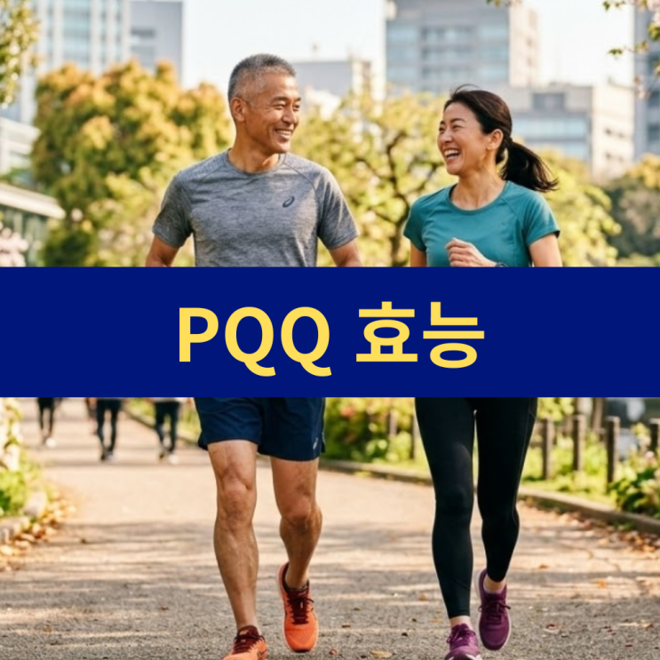  PQQ 효능 | 피롤로퀴놀린 퀴논 영양제 하루 권장 섭취량 | 뇌 기능 세포 젊음