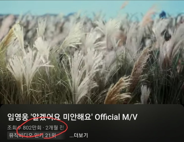  임영웅 '알겠어요 미안해요' MV 800만뷰 돌파, 갈대숲 감성의 여운