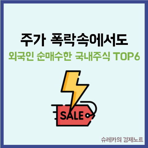  주가 폭락속에서도 외국인이 순매수한 국내주식 TOP6