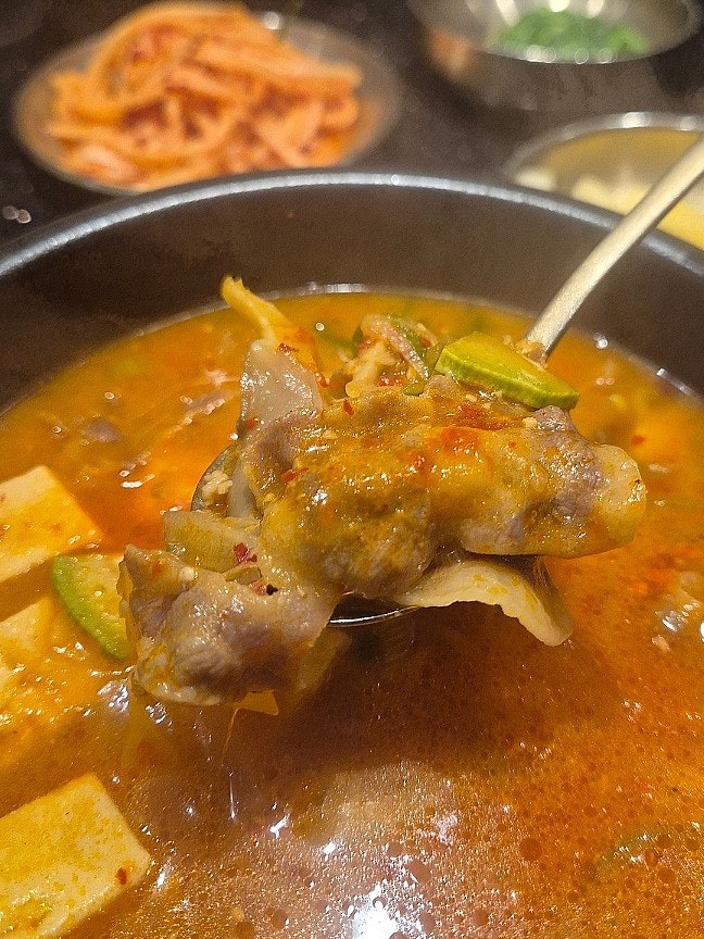  광저우 한식 맛집 소담 후기 | 한국보다 더 맛있는 된찌