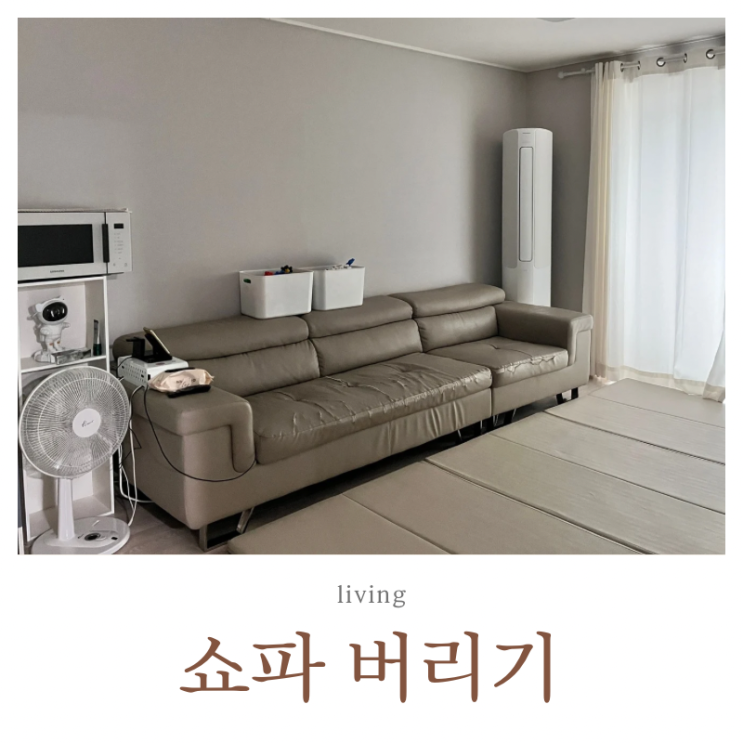  쇼파 버리는 비용과 방법 (빼기 어플, 당근 알바 비교)