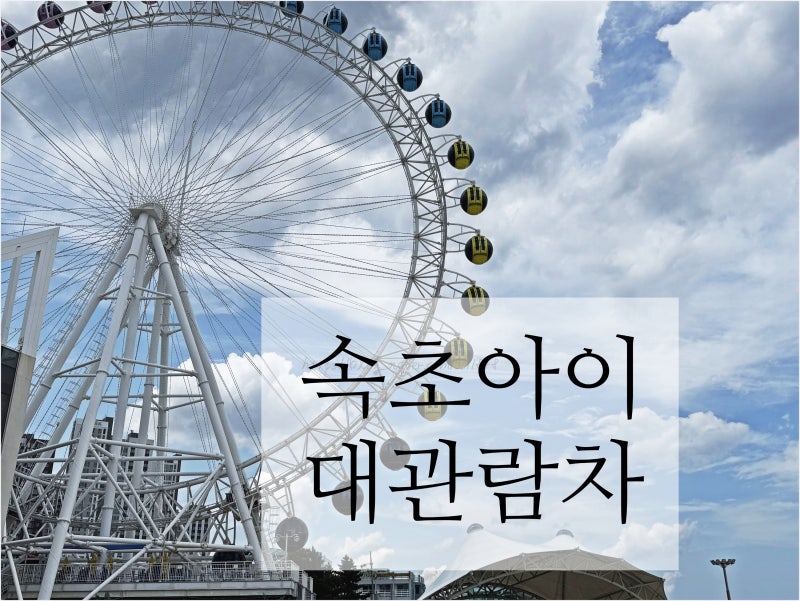 강원도 속초 여행 속초아이 대관람차 철거 이슈 철회