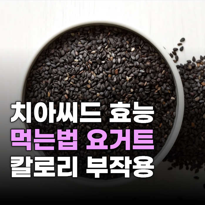 치아씨드 먹는법 요거트 칼로리 효능 부작용 알아보자