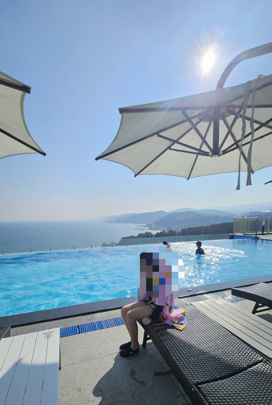 화신홍게 사진 2