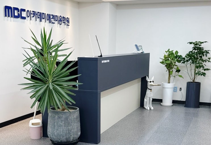  인천 동구애견미용학원 가장 빨리 창업하는 방법?
