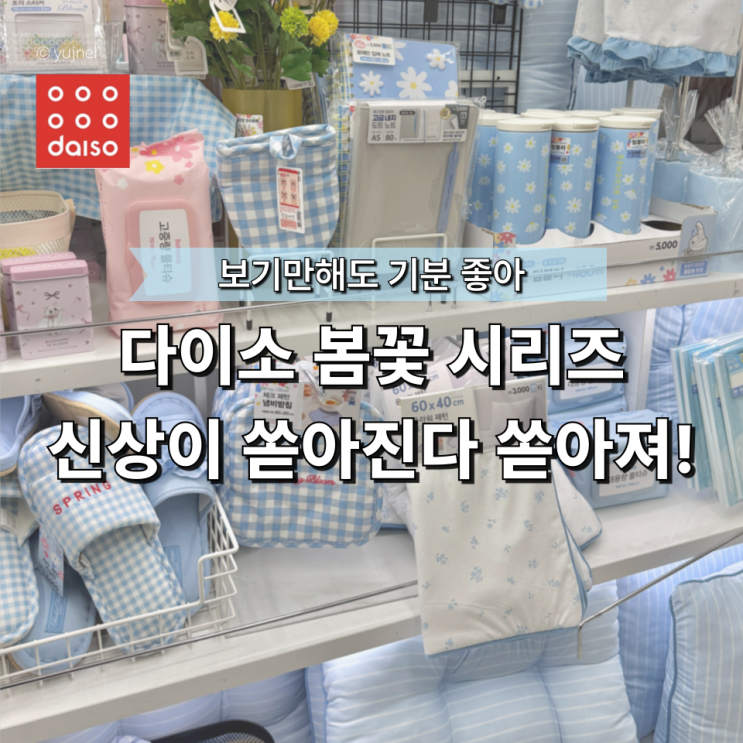  "이걸 어떻게 그냥 지나쳐?" 실용성까지 좋은 다이소 봄 추천템 BEST 5