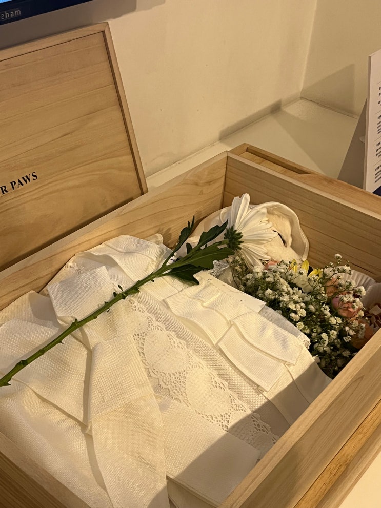  경기도 반려동물 장례식장 추천 애견 강아지 고양이 화장터 포포즈 양주점