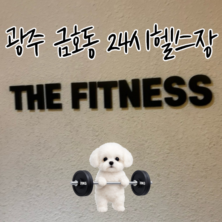  광주 금호동 헬스장 24시간 운영 더피트니스 추천 일권가능