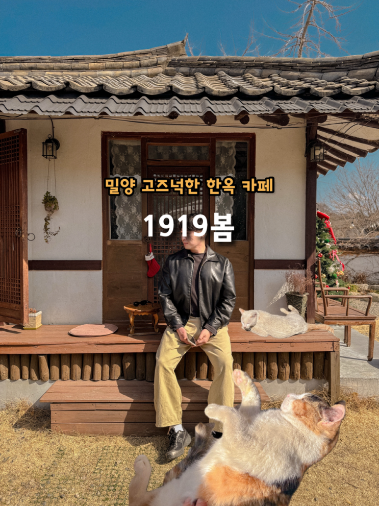  밀양 고즈넉한 한옥 카페 애견 동반 넓은 정원 고양이가 반겨주는 1919봄