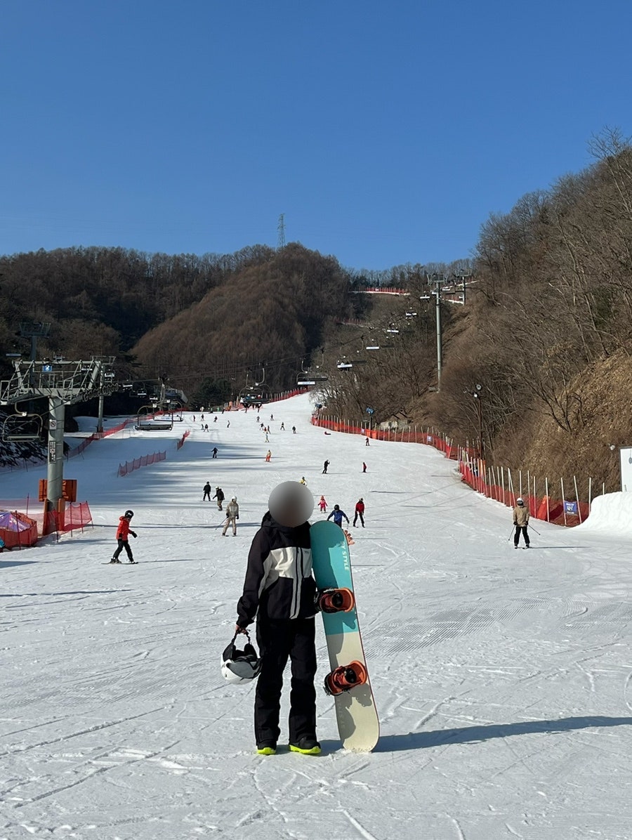 알프하우스 사진 5