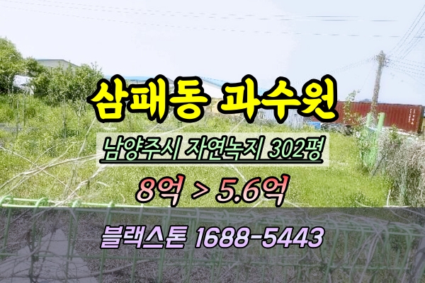  남양주시 삼패동 과수원 경매 300평 토지 ︎2025타경71660