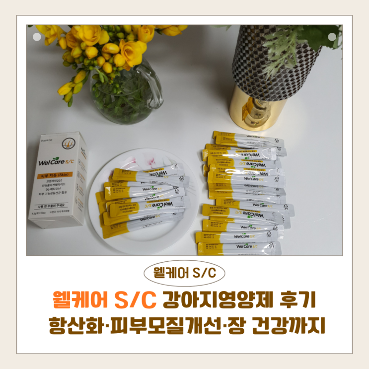  웰케어 S/C 강아지영양제 후기 | 항산화·피부모질개선·장 건강까지 한 번에 관리