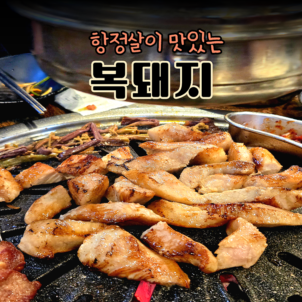 복돼지 사진 1