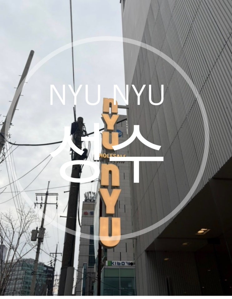  성수 아이랑 가기 좋은 뉴뉴 성수역점   NYU NYU WHOLESALE 후기