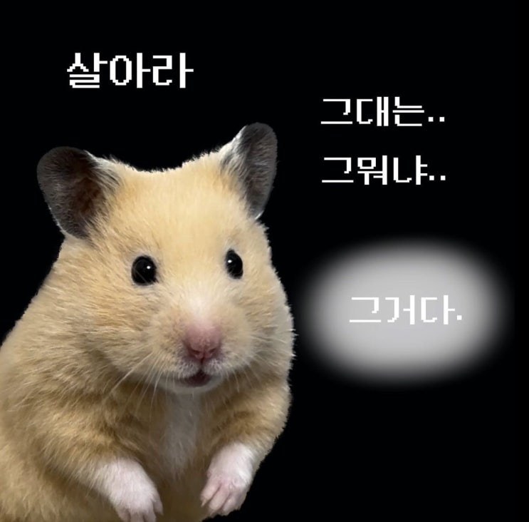  덕질을 못하는 드덕의 일상 (+요즘 보는 드라마)