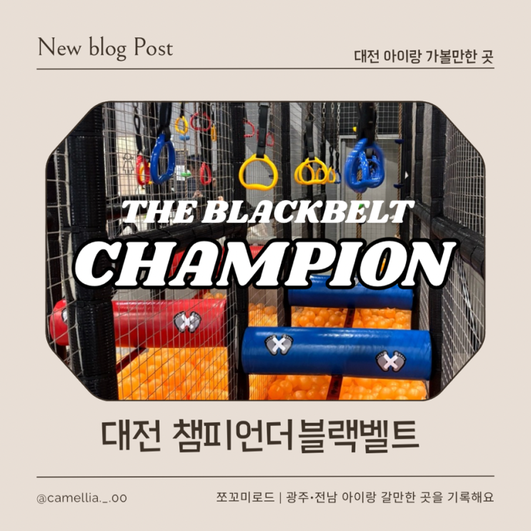  [내돈내산] 대전 아이랑 가볼만한 대형 키즈카페 NC유성점 챔피언 더 블랙벨트 후기