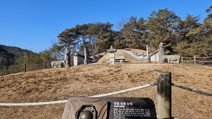 [영월 단종의묘] 천만 관객의 눈물 버튼, 영화 왕과 사는 남자 그 여운의 종착지 영월 장릉