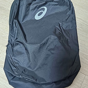 (내돈내산)아식스 퍼포먼스 러닝 백팩 10L (3013B273001)