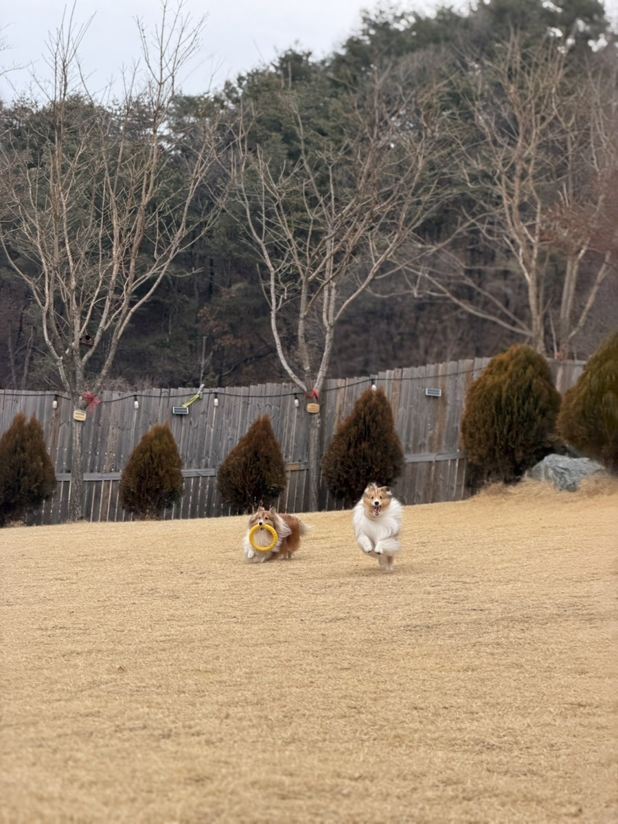 위드제이 사진 3