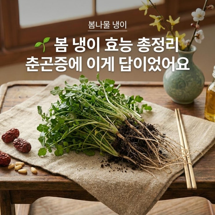   봄 냉이 효능 총정리 | 춘곤증에 이게 답이었어요
