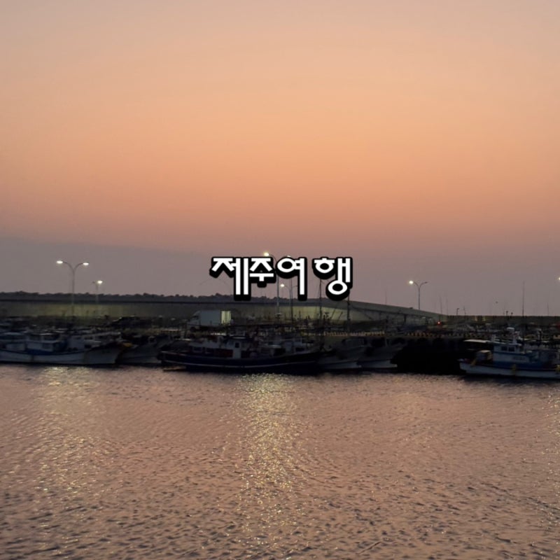 사진 6