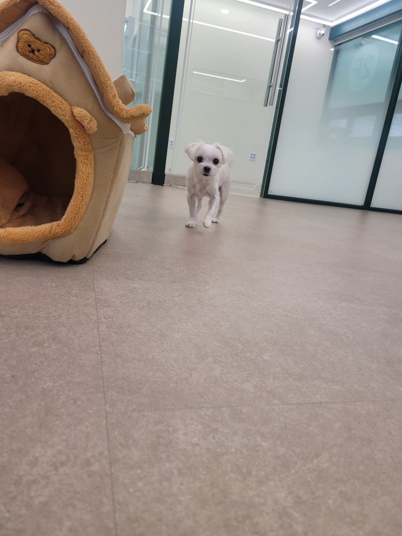 온유