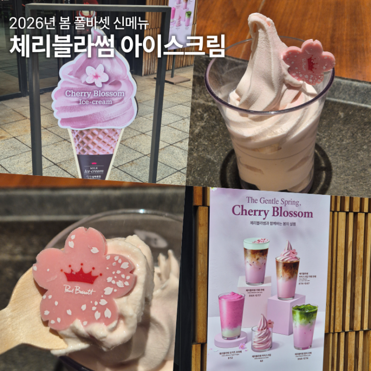  폴바셋 체리블라썸 아이스크림 봄 신메뉴 가격 내돈내산 리뷰