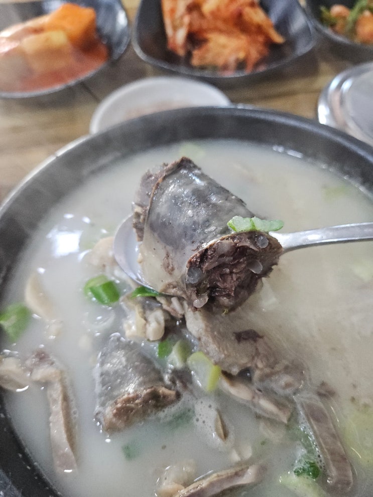  천안 병천 순대거리 맛집 추천 아우내본가순대 순대 국밥 찐 맛집 후기