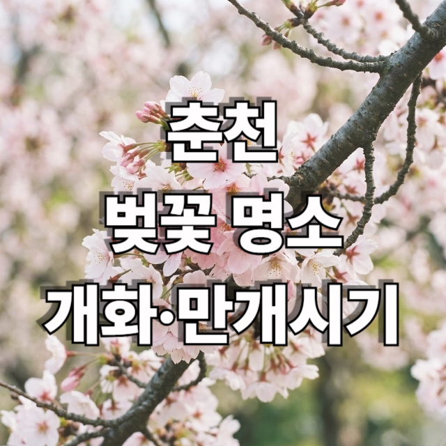 일송닭갈비막국수 사진 1