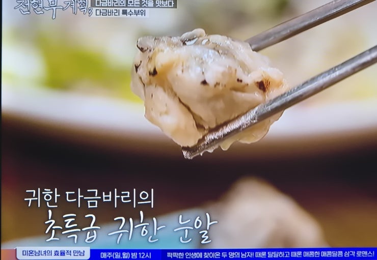 전현무계획3 21회 제주도 다금바리회 옥돔뭇국 보말전복칼국수 맛집정보(표예진출연)