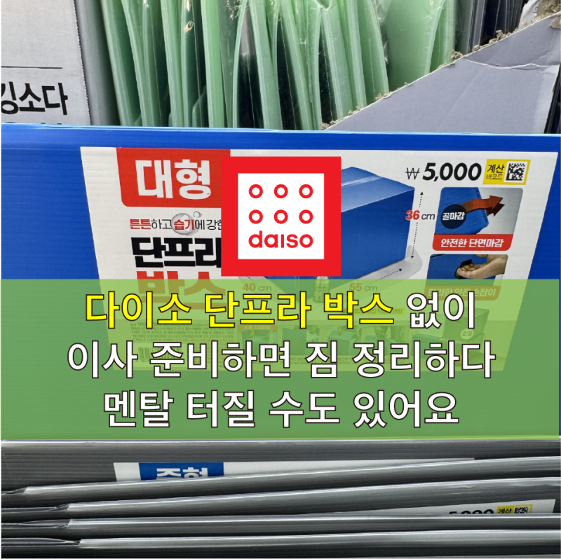 다이소 단프라 박스 없이 이사 준비하면 짐 정리하다 멘탈 터질 수도 있어요