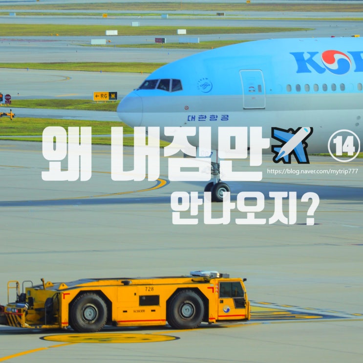  공항에서 캐리어가 사라지는 이유｜수하물 분실·혼동·도난 이야기 | ️얼렁뚱땅 여행 가이드 ⑭