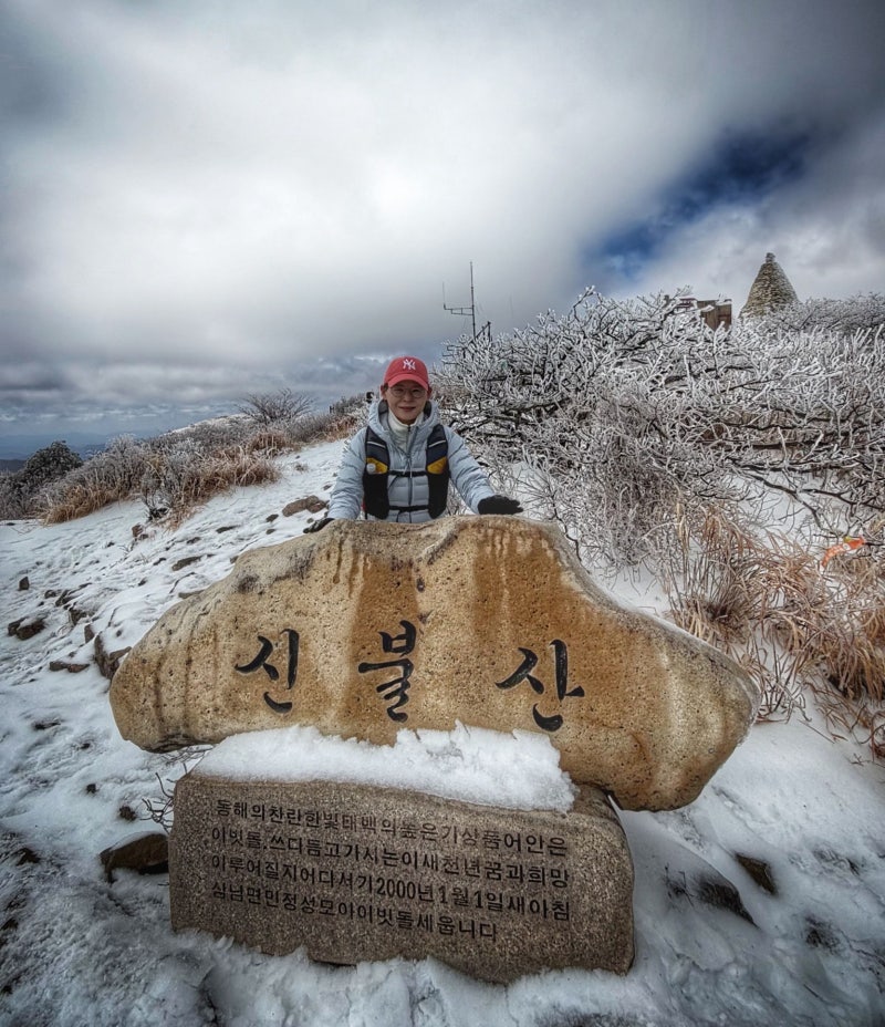 사진 8