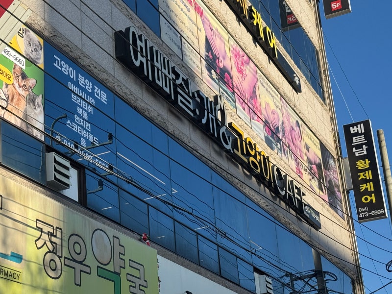 사진 4