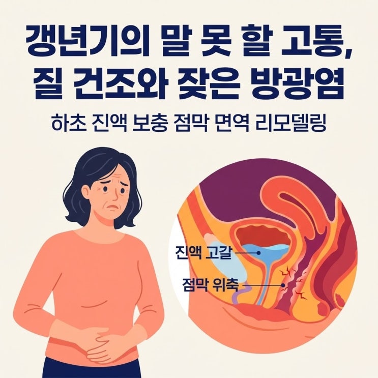  갱년기 질건조증 위축성 질염 증상 원인, 여성 만성 방광염 재발 치료 (질건조증 방광염 연관성)